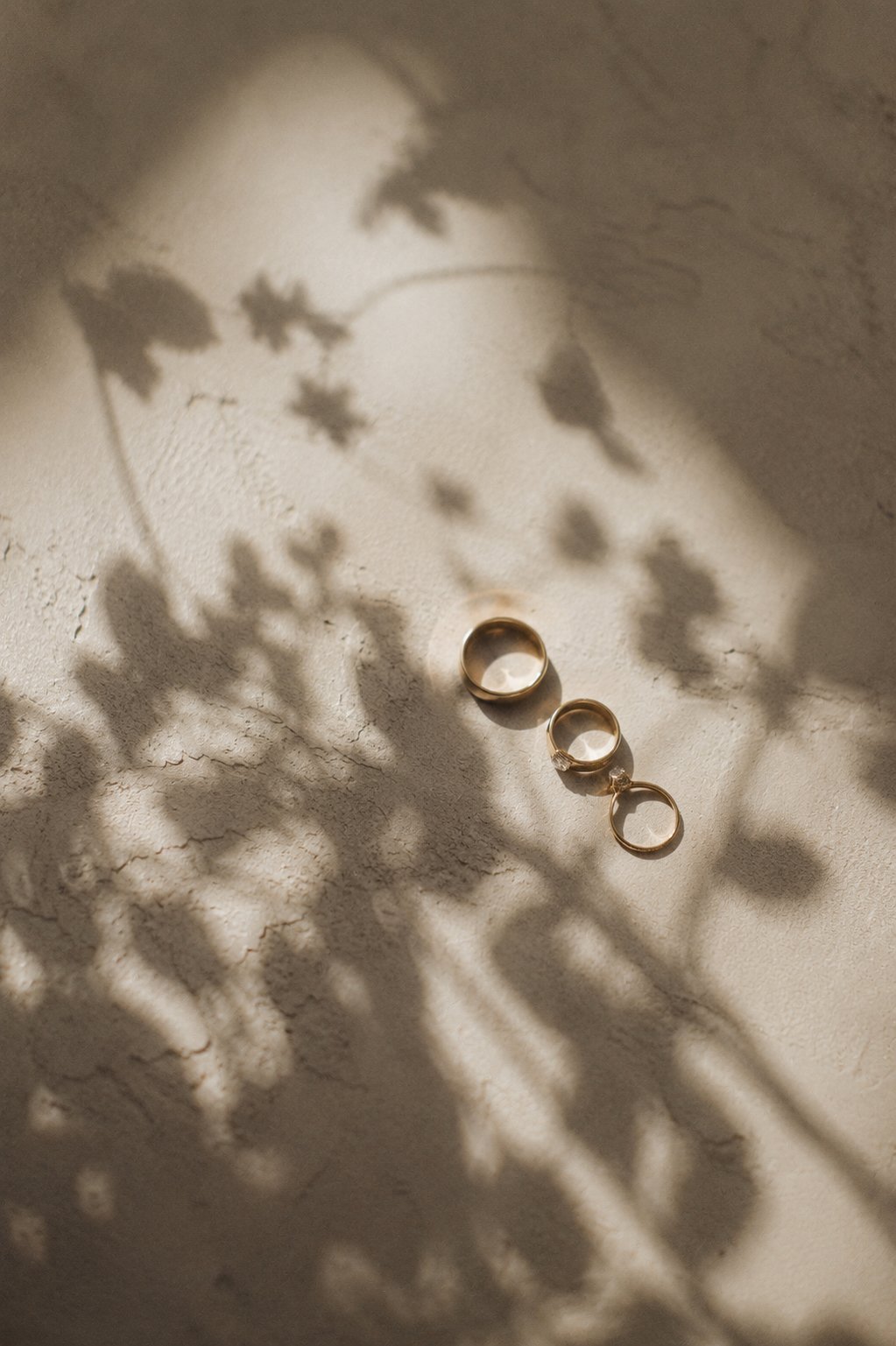 Wedding rings arranged on linen in soft botanical shadows